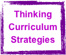 Thinking Curriculum
Strategies